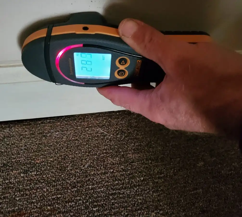 Moisture detection at baseboard during Sewage Cleanup & Sanitation in Windsor